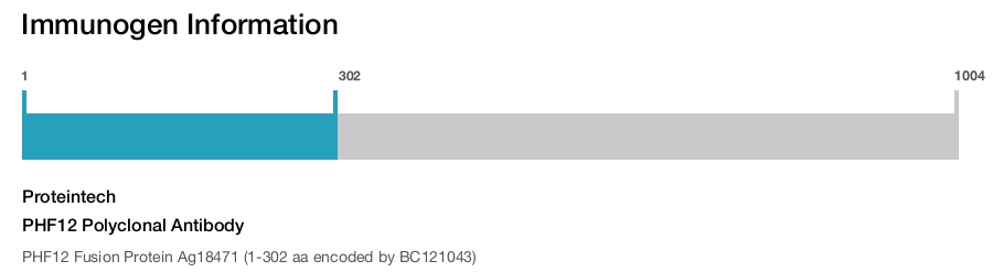 PHF12 Polyclonal Antibody