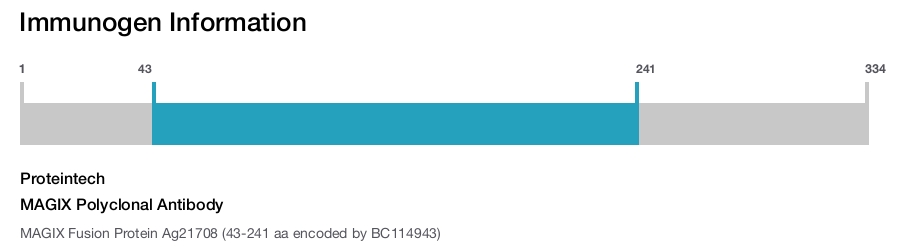 MAGIX Polyclonal Antibody