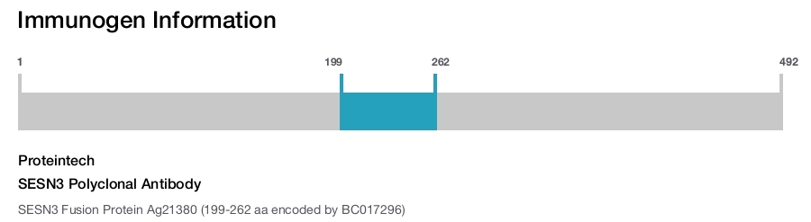 SESN3 Polyclonal Antibody
