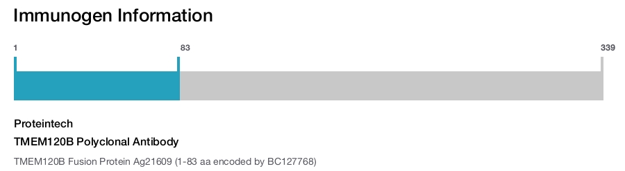 TMEM120B Polyclonal Antibody