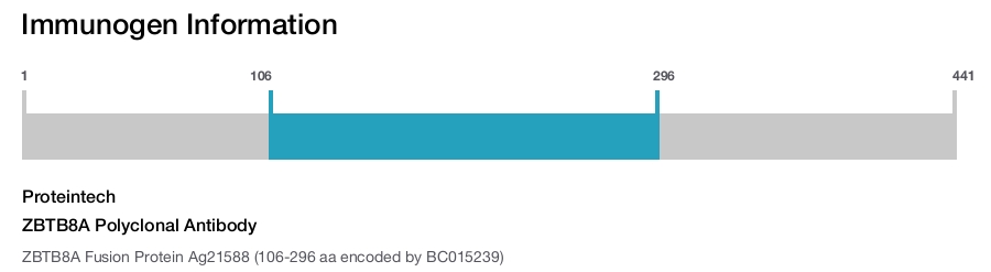 ZBTB8A Polyclonal Antibody