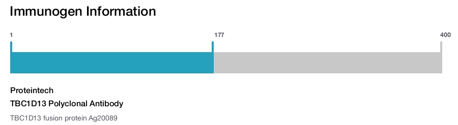 TBC1D13 Polyclonal Antibody