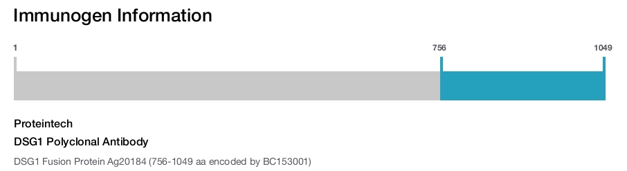 DSG1 Polyclonal Antibody