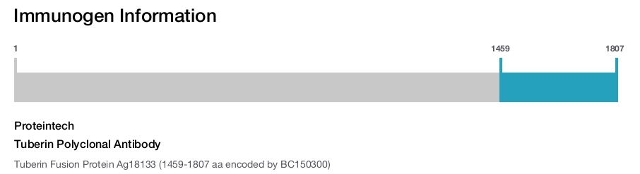 Tuberin Polyclonal Antibody