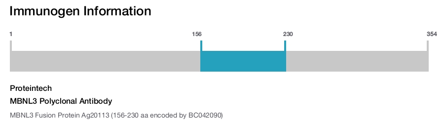 MBNL3 Polyclonal Antibody