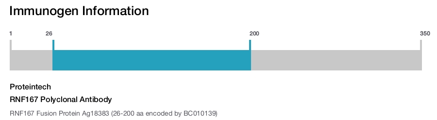 RNF167 Polyclonal Antibody