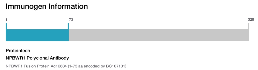 NPBWR1 Polyclonal Antibody