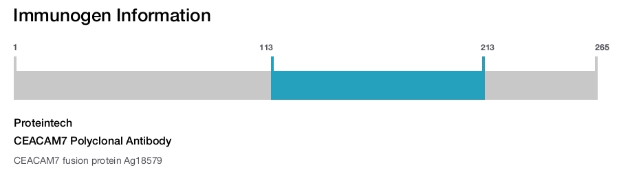 CEACAM7 Polyclonal Antibody