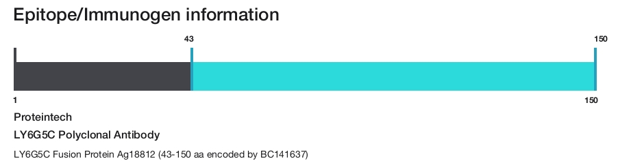LY6G5C Polyclonal Antibody