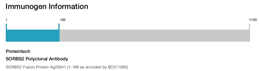 SORBS2 Polyclonal Antibody