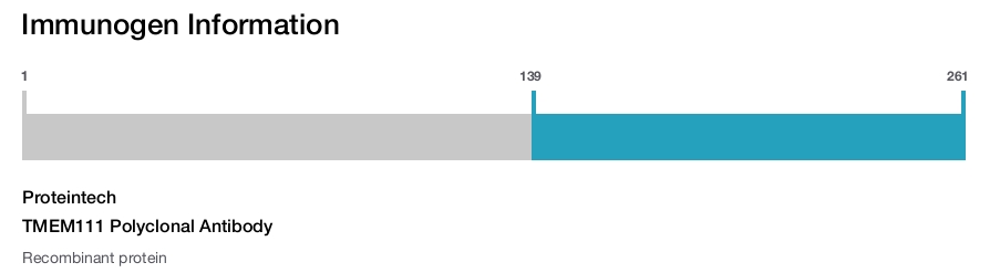 TMEM111 Polyclonal Antibody