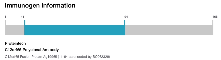 C12orf65 Polyclonal Antibody