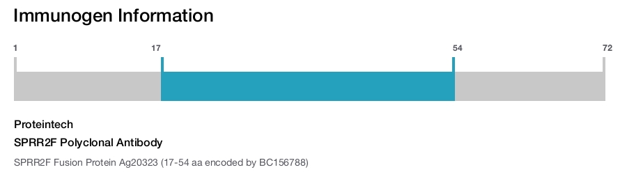 SPRR2F Polyclonal Antibody