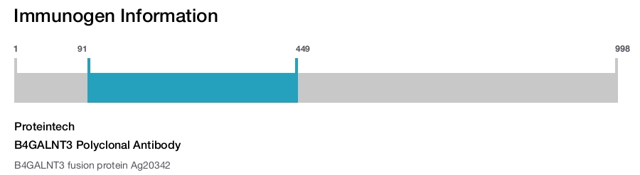 B4GALNT3 Polyclonal Antibody