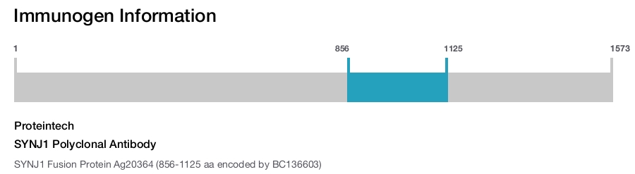 SYNJ1 Polyclonal Antibody