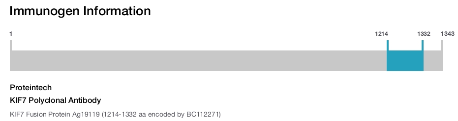 KIF7 Polyclonal Antibody