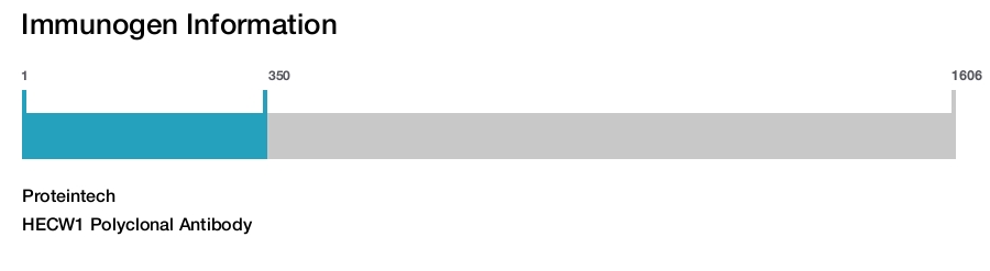 HECW1 Polyclonal Antibody