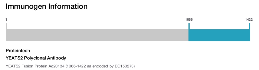 YEATS2 Polyclonal Antibody