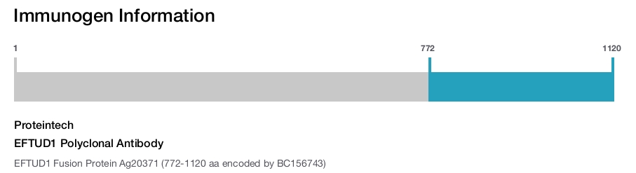 EFTUD1 Polyclonal Antibody