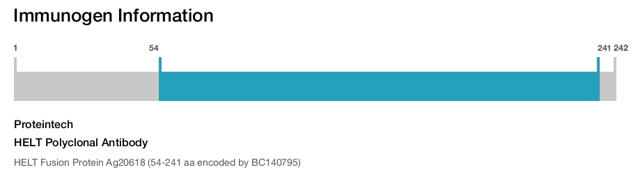 HELT Polyclonal Antibody