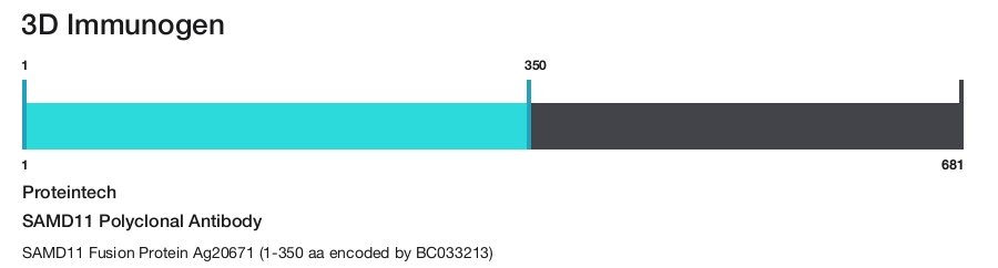 SAMD11 Polyclonal Antibody