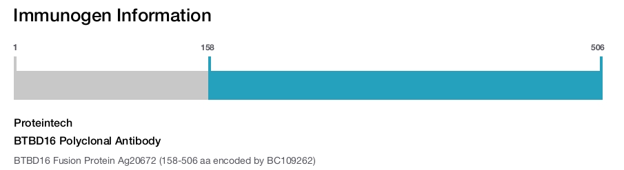 BTBD16 Polyclonal Antibody