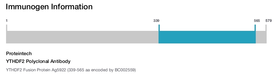 YTHDF2 Polyclonal Antibody