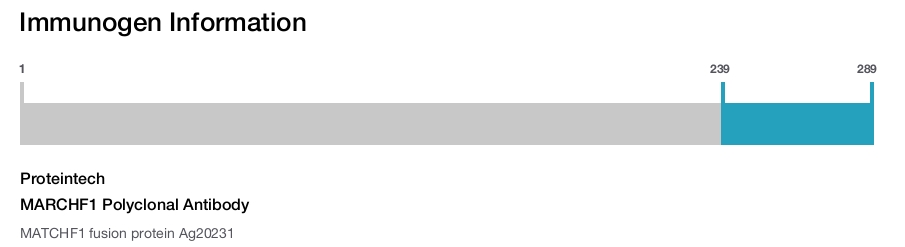 MARCHF1 Polyclonal Antibody