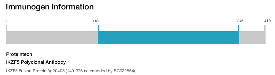 IKZF5 Polyclonal Antibody
