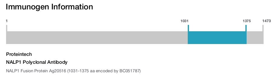 NALP1 Polyclonal Antibody
