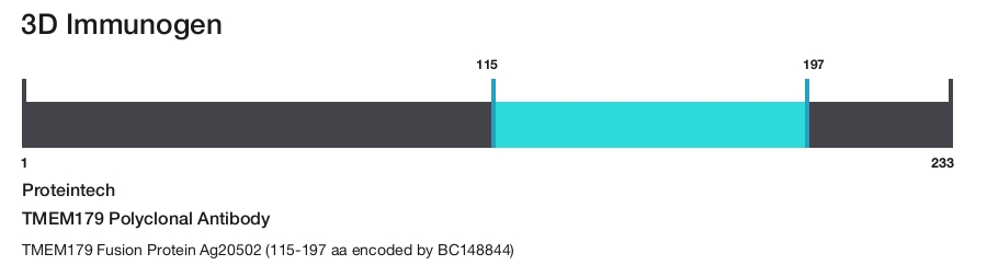 TMEM179 Polyclonal Antibody
