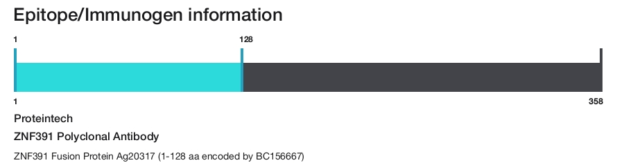 ZNF391 Polyclonal Antibody