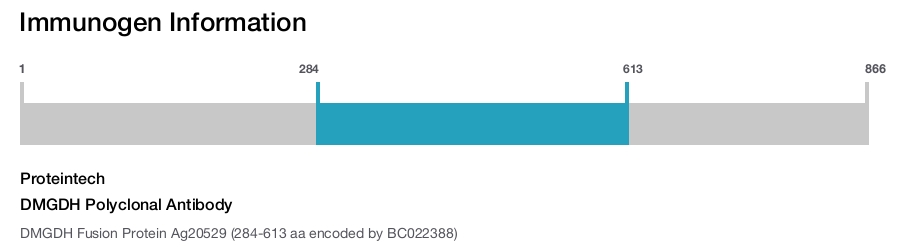 DMGDH Polyclonal Antibody