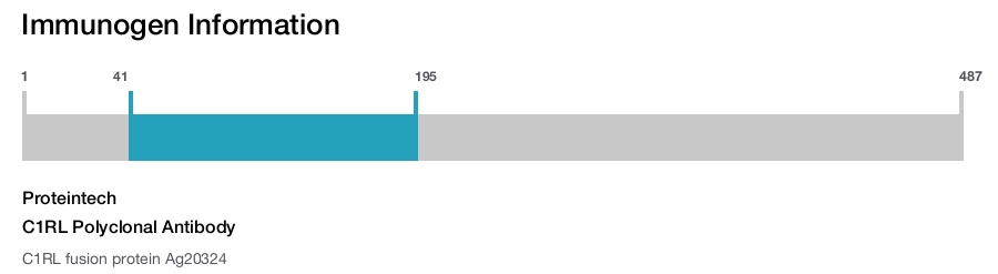 C1RL Polyclonal Antibody