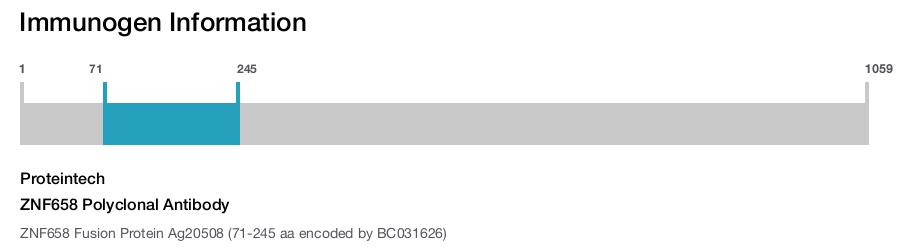ZNF658 Polyclonal Antibody