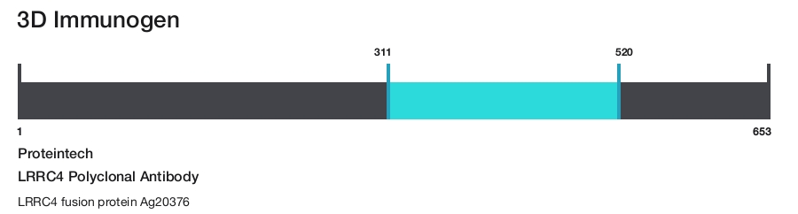 LRRC4 Polyclonal Antibody