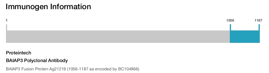 BAIAP3 Polyclonal Antibody