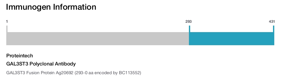 GAL3ST3 Polyclonal Antibody