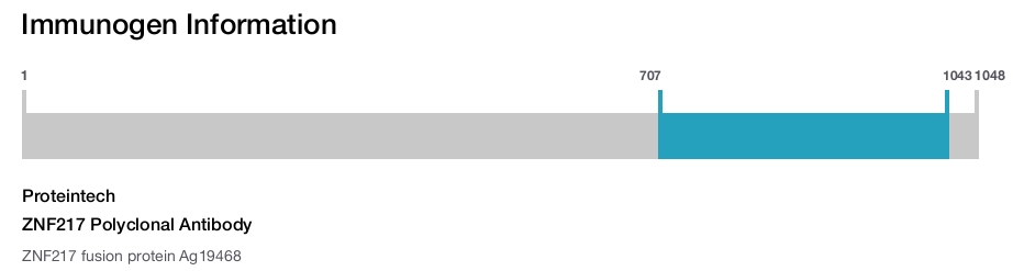 ZNF217 Polyclonal Antibody