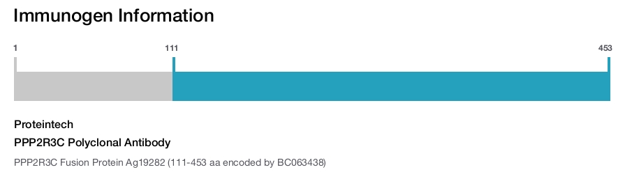 PPP2R3C Polyclonal Antibody