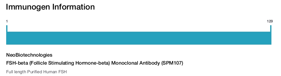 FSH-beta (Follicle Stimulating Hormone-beta) Monoclonal Antibody (SPM107)
