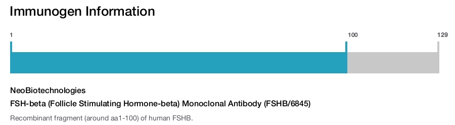 FSH-beta (Follicle Stimulating Hormone-beta) Monoclonal Antibody (FSHB/6845)