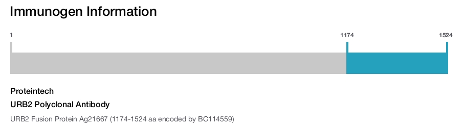 URB2 Polyclonal Antibody