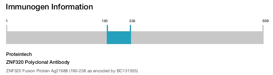 ZNF320 Polyclonal Antibody