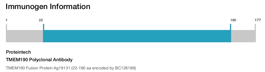 TMEM190 Polyclonal Antibody