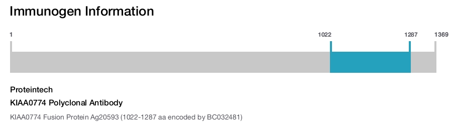 KIAA0774 Polyclonal Antibody