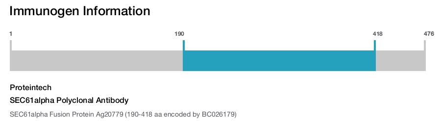SEC61alpha Polyclonal Antibody