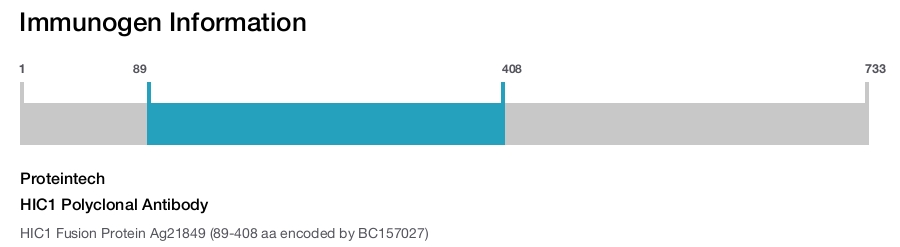 HIC1 Polyclonal Antibody
