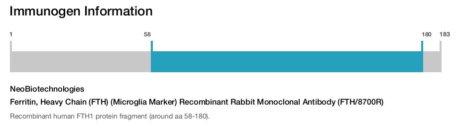 Ferritin, Heavy Chain (FTH) (Microglia Marker) Recombinant Rabbit Monoclonal Antibody (FTH/8700R)