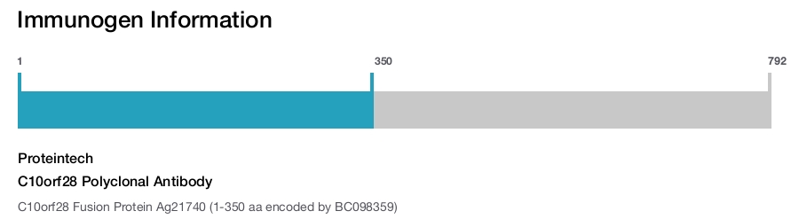 C10orf28 Polyclonal Antibody